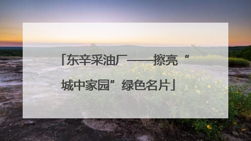 东辛采油厂——擦亮“城中家园”绿色名片
