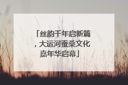 丝韵千年启新篇，大运河蚕桑文化嘉年华启幕