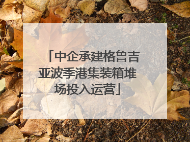 中企承建格鲁吉亚波季港集装箱堆场投入运营