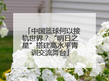 中国篮球何以接轨世界？“明日之星”搭建高水平青训交流舞台