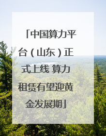 中国算力平台（山东）正式上线 算力租赁有望迎黄金发展期