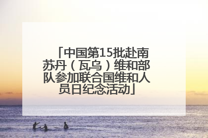中国第15批赴南苏丹（瓦乌）维和部队参加联合国维和人员日纪念活动