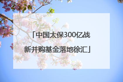 中国太保300亿战新并购基金落地徐汇
