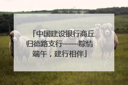 中国建设银行商丘归德路支行——粽情端午，建行相伴