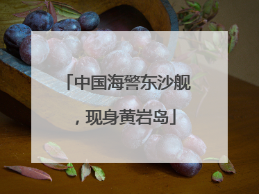 中国海警东沙舰，现身黄岩岛