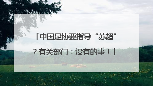 中国足协要指导“苏超”？有关部门：没有的事！