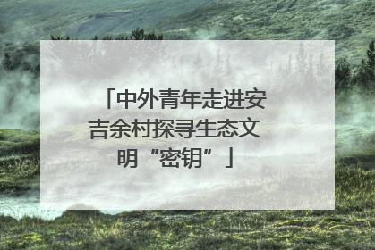中外青年走进安吉余村探寻生态文明“密钥”