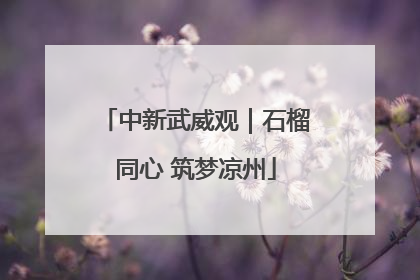中新武威观｜石榴同心 筑梦凉州