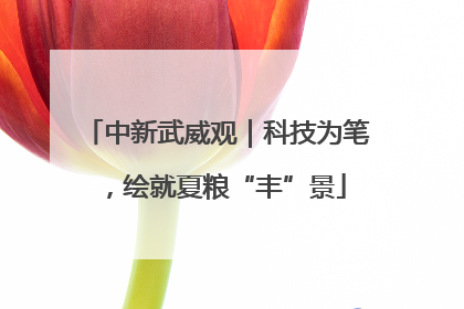 中新武威观｜科技为笔，绘就夏粮“丰”景