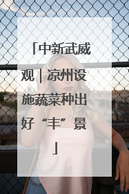 中新武威观｜凉州设施蔬菜种出好“丰”景