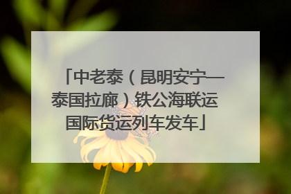 中老泰（昆明安宁—泰国拉廊）铁公海联运国际货运列车发车