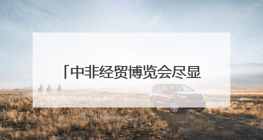 中非经贸博览会尽显中非合作“热度”