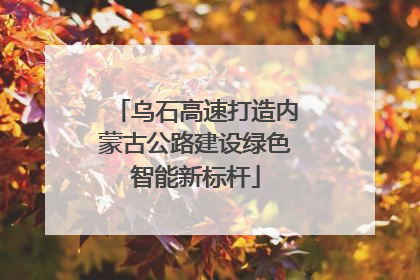 乌石高速打造内蒙古公路建设绿色智能新标杆