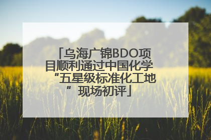 乌海广锦BDO项目顺利通过中国化学“五星级标准化工地”现场初评