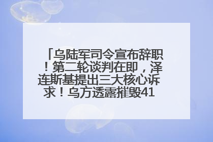 乌陆军司令宣布辞职！第二轮谈判在即，泽连斯基提出三大核心诉求！乌方透露摧毁41架俄战略轰炸机