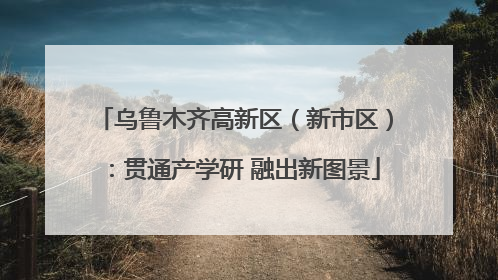 乌鲁木齐高新区（新市区）：贯通产学研 融出新图景