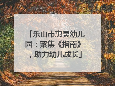 乐山市惠灵幼儿园：聚焦《指南》，助力幼儿成长