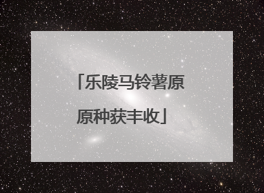 乐陵马铃薯原原种获丰收