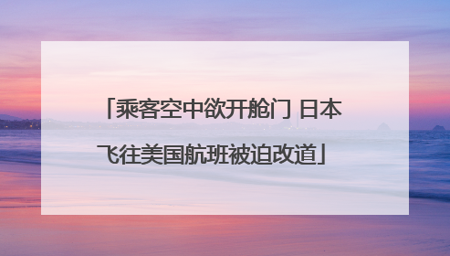 乘客空中欲开舱门 日本飞往美国航班被迫改道
