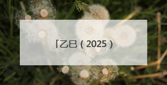 乙巳（2025）年舜裔舜商、华人华侨公祭舜帝典礼在宁远县九嶷山举行