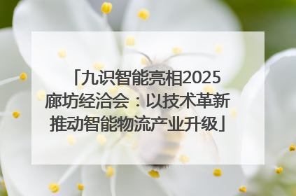 九识智能亮相2025廊坊经洽会：以技术革新推动智能物流产业升级