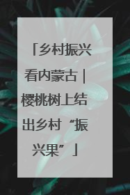 乡村振兴看内蒙古｜樱桃树上结出乡村“振兴果”