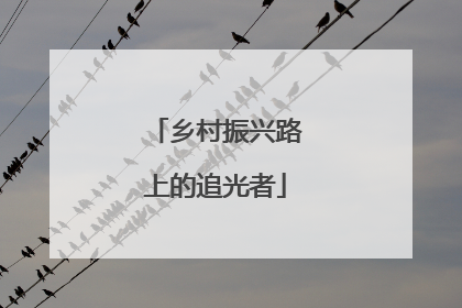 乡村振兴路上的追光者