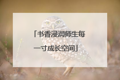 书香浸润师生每一寸成长空间