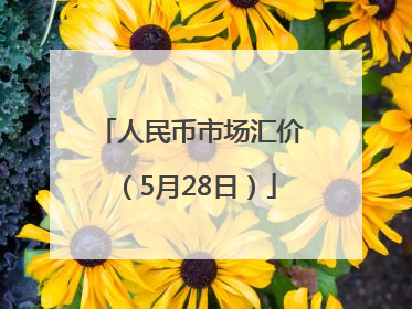 人民币市场汇价（5月28日）