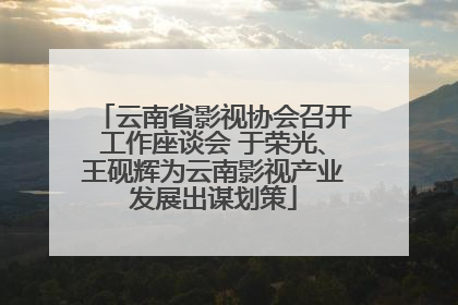 云南省影视协会召开工作座谈会 于荣光、王砚辉为云南影视产业发展出谋划策