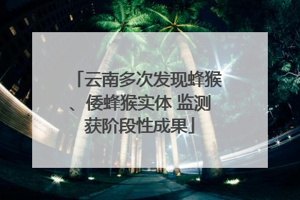 云南多次发现蜂猴、倭蜂猴实体 监测获阶段性成果