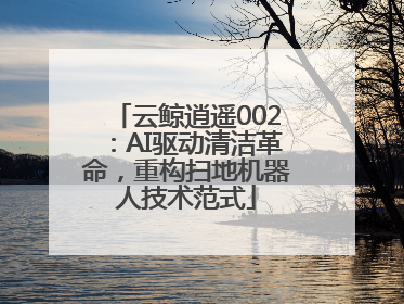 云鲸逍遥002：AI驱动清洁革命，重构扫地机器人技术范式