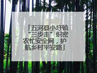 五河县小圩镇“三步走”织密农忙安全网，护航乡村平安路