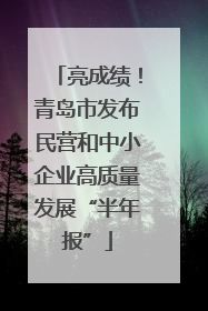 亮成绩！青岛市发布民营和中小企业高质量发展“半年报”