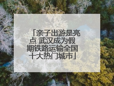 亲子出游是亮点 武汉成为假期铁路运输全国十大热门城市