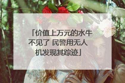 价值上万元的水牛不见了 民警用无人机发现其踪迹