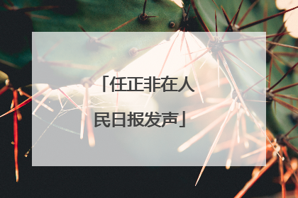 任正非在人民日报发声