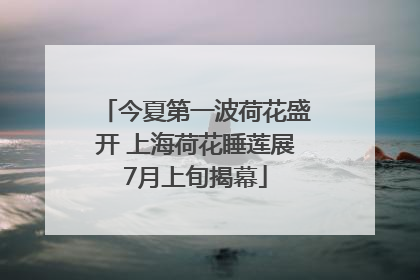 今夏第一波荷花盛开 上海荷花睡莲展7月上旬揭幕
