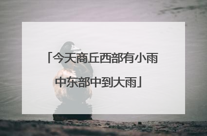 今天商丘西部有小雨 中东部中到大雨