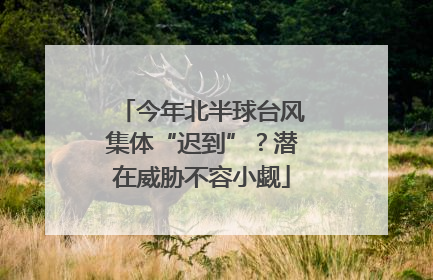 今年北半球台风集体“迟到”？潜在威胁不容小觑