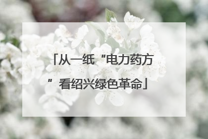 从一纸“电力药方”看绍兴绿色革命