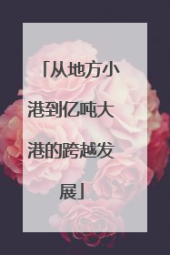 从地方小港到亿吨大港的跨越发展