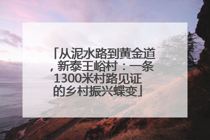 从泥水路到黄金道，新泰王峪村：一条1300米村路见证的乡村振兴蝶变