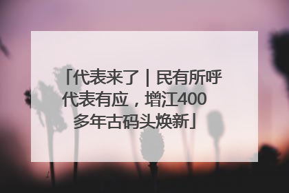 代表来了｜民有所呼代表有应，增江400多年古码头焕新
