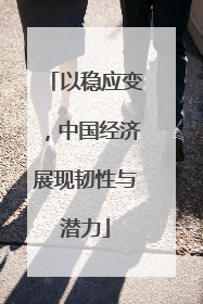 以稳应变，中国经济展现韧性与潜力