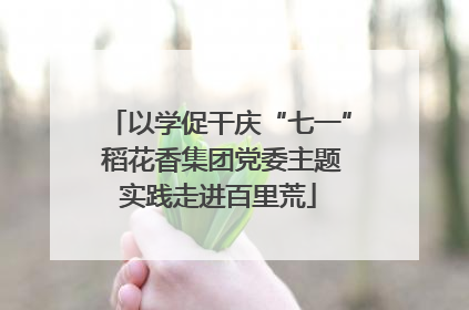 以学促干庆“七一” 稻花香集团党委主题实践走进百里荒