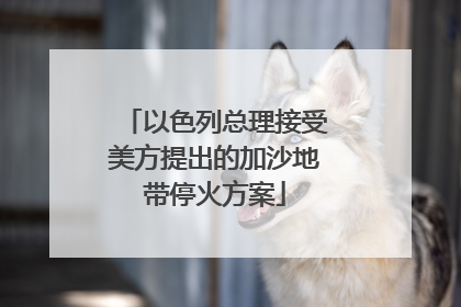 以色列总理接受美方提出的加沙地带停火方案