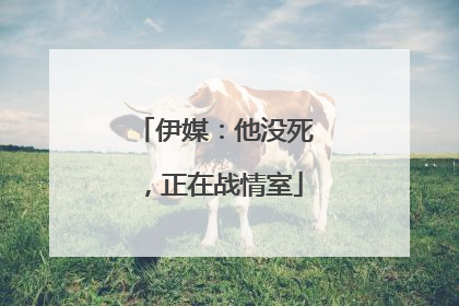 伊媒:他没死,正在战情室