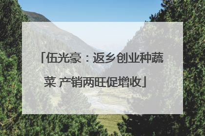 伍光豪：返乡创业种蔬菜 产销两旺促增收