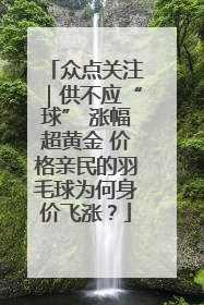 众点关注｜供不应“球” 涨幅超黄金 价格亲民的羽毛球为何身价飞涨？